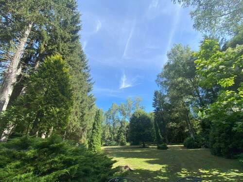 Blick in den Garten - 