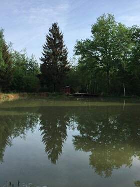 Blick über den See - 