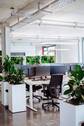 Arbeitsplätze - Büro zur Miete in Weissach