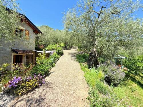 AP1010_06_TERRA ITALIA IMMOBILIEN_LIGURIEN_APRICAL - 