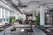 Bild 11 - 
