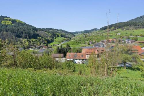 613507-A-backbonephoto-004_b_WEB - 