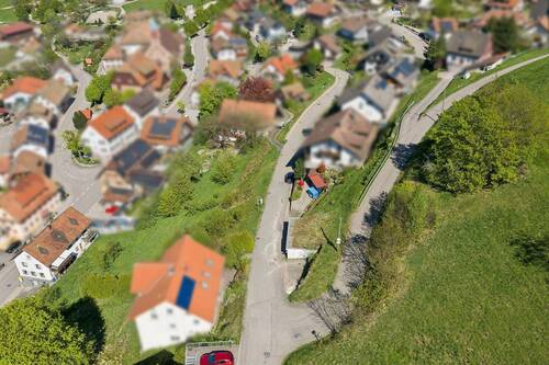 613507-A-backbonephoto-052_b_WEB - 