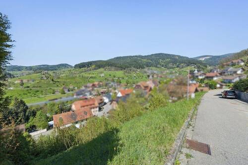 613507-A-backbonephoto-010_b_WEB - 