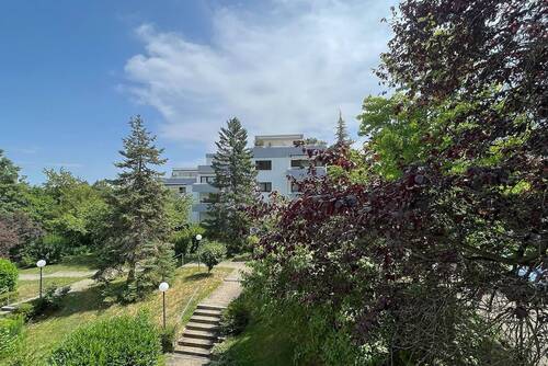 Ausblick - 