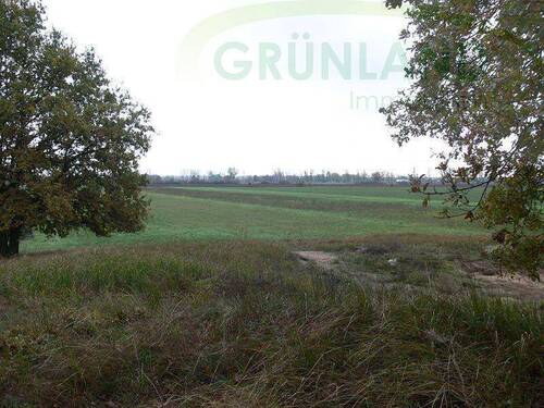 Bild 1 - *Ackerfläche zu verkaufen!* - 92.000,00 EUR Kaufpreis, ca.  0,00 m²