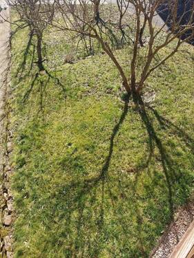 Teilansicht Gartenanteil - 