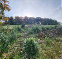 Traumgrundstück in reizvoller Lage von Bockau