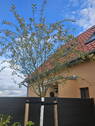 Bild 17 - 