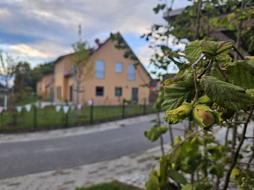 Bild 27 - 