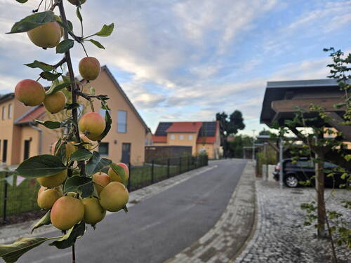 Bild 28 - 