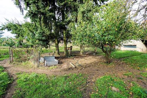 Garten (3).jpg - 