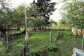Garten (13).jpg - 