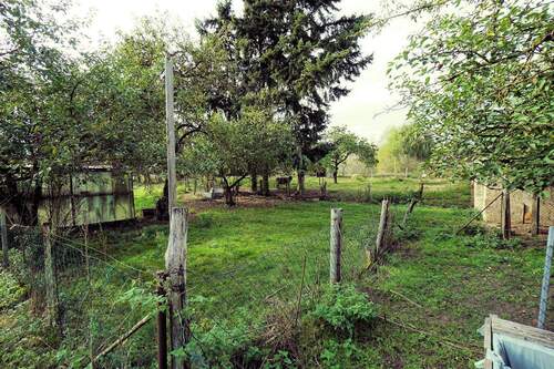 Garten (13).jpg - 
