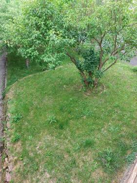 Teilansicht Gartenanteil - 