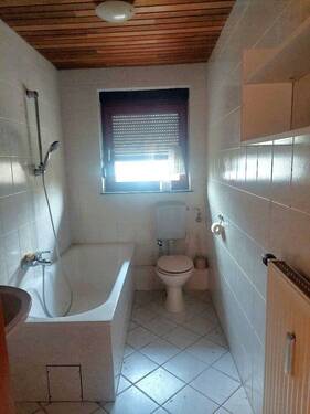 20250311_172654_resized.jpg - 