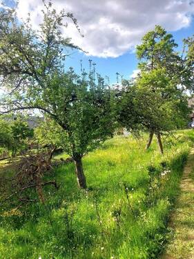 20250515_173432_resized.jpg - 