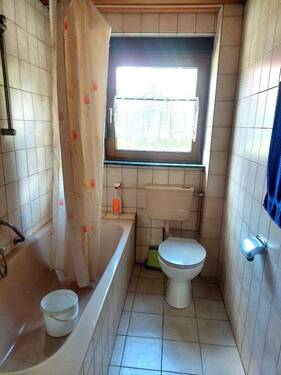 20250519_115651_resized.jpg - 