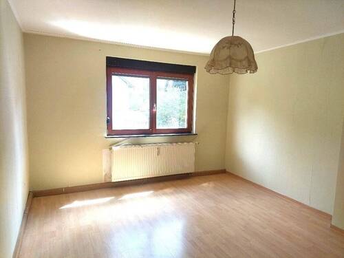 20250519_120025_resized.jpg - 