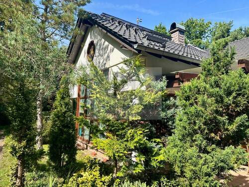 Pflanzenvielfalt - 