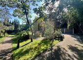 gepflasterte Wege - 