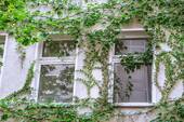 Außenansicht - Etagenwohnung mit 31,00 m² in Berlin zum Kaufen