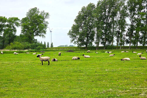 Umgebung - 