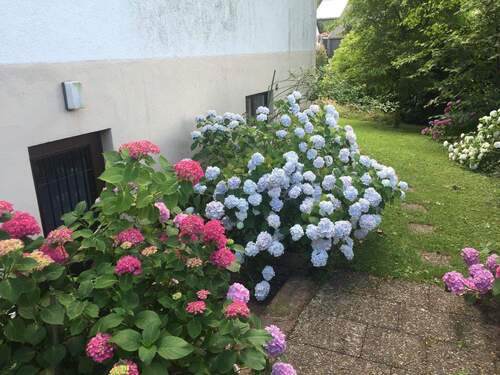 Eingang Gartengeschoss - 