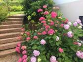 Treppe Gartenzugang - 
