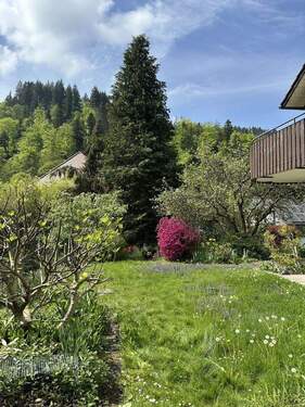 2-Fam.-Haus mit schönem Garten - Mehrfamilienhaus, Wohnhaus mit 356,00 m&sup2; in Freiburg zum Kaufen