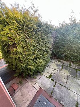 Terasse - 