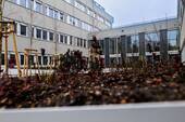 Innenhof - 