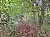 Bild 10 - 