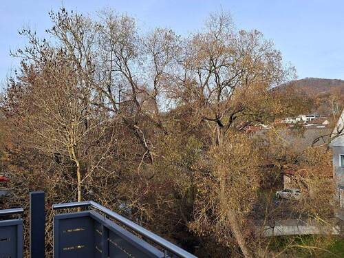 Blick ins Grüne und ..... - 