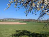 Ausblick - 