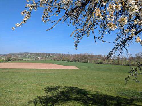 Ausblick - 