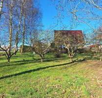Baugrundstück nahe Greifswald - 79.000,00 EUR Kaufpreis, ca.  0,00 m² in Kemnitz (PLZ: 17509)