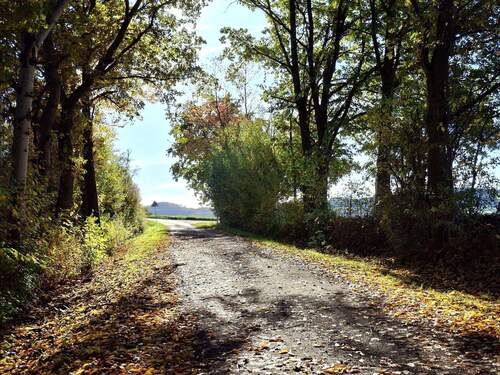 20251018_154249_resized_1.jpg - 