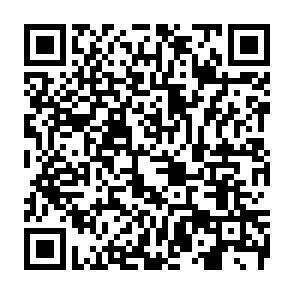 QR-Code - 
