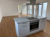 Offene Küche - 3 Zimmer Etagenwohnung zur Miete in Nürnberg