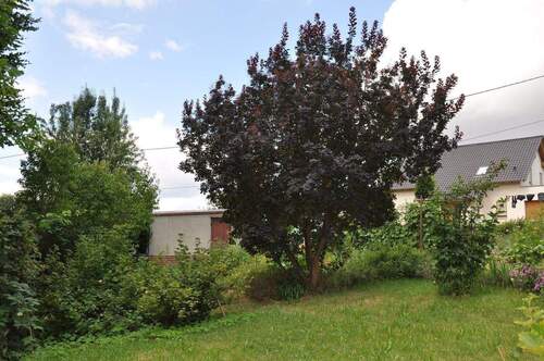 Garten mit Garage.JPG - Einfamilienhaus mit 127,00 m&sup2; in Geithain zum Kaufen