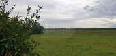 nahe Umgebung - 