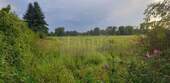 nahe Umgebung - 