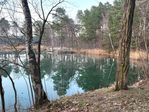 016_P-13693_Wochenendgrundstueck_Duebener_Heide_Sc - 