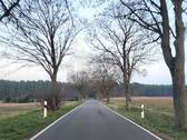 017_P-13693_Wochenendgrundstueck_Duebener_Heide_Sc - 