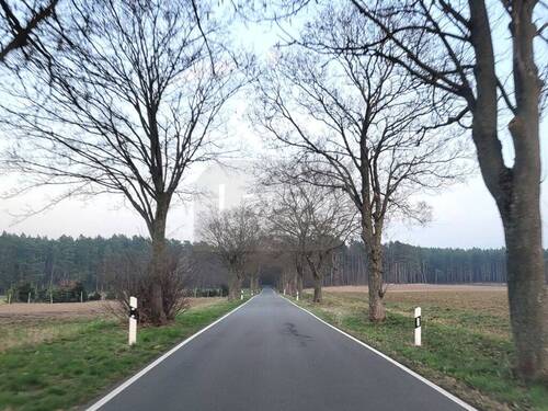 017_P-13693_Wochenendgrundstueck_Duebener_Heide_Sc - 