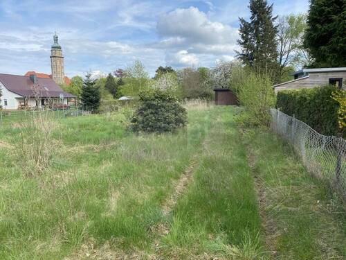 002_P-13693_Wochenendgrundstueck_Duebener_Heide_Sc - Grundstück zum Kaufen in Bad Schmiedeberg