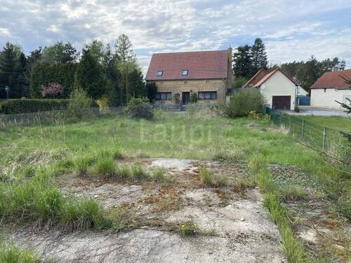 003_P-13693_Wochenendgrundstueck_Duebener_Heide_Sc - Grundstück in Bad Schmiedeberg