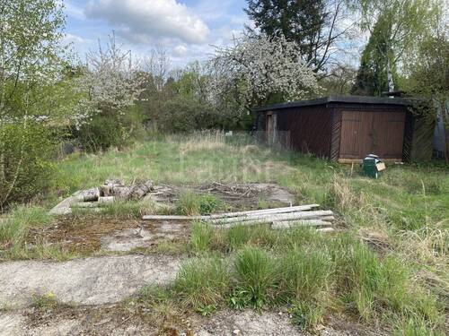 004_P-13693_Wochenendgrundstueck_Duebener_Heide_Sc - Grundstück in Bad Schmiedeberg zum Kaufen