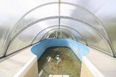 Pool - 